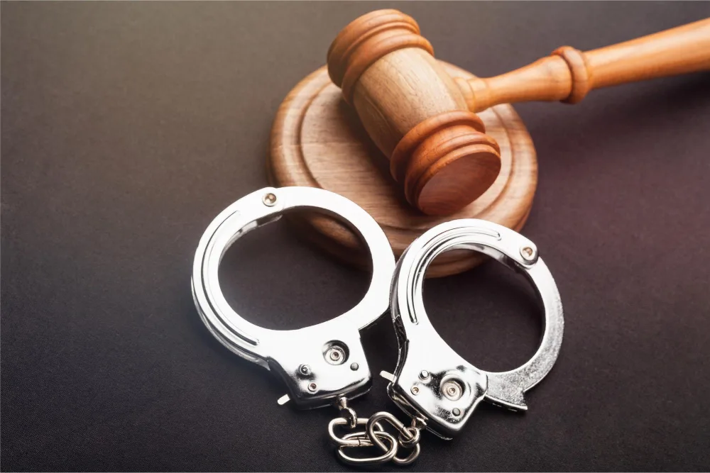 CriminalLaw img