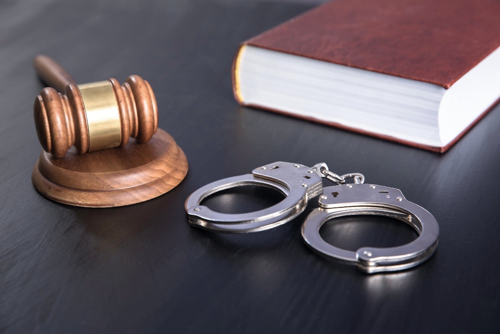 Criminal Defence Strategy Matters for Immigration Protection