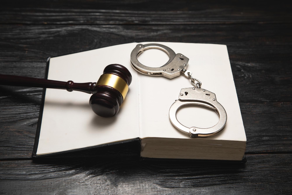 Criminal Inadmissibility