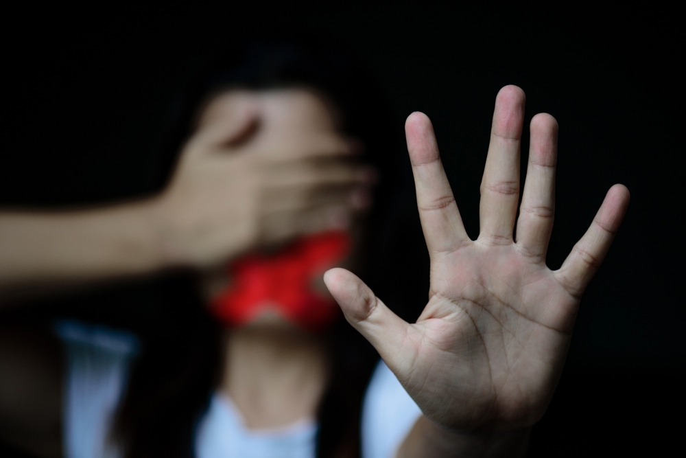 Domestic Violence Cases