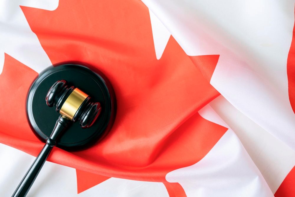 Study Permit Lawyer in Calgary