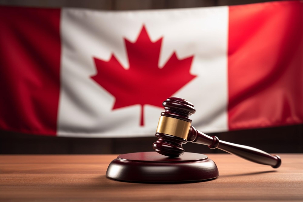 Study Permit Lawyer