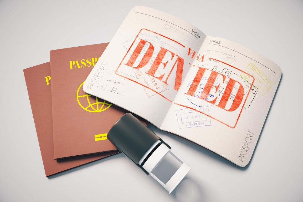 Study Permit Refused