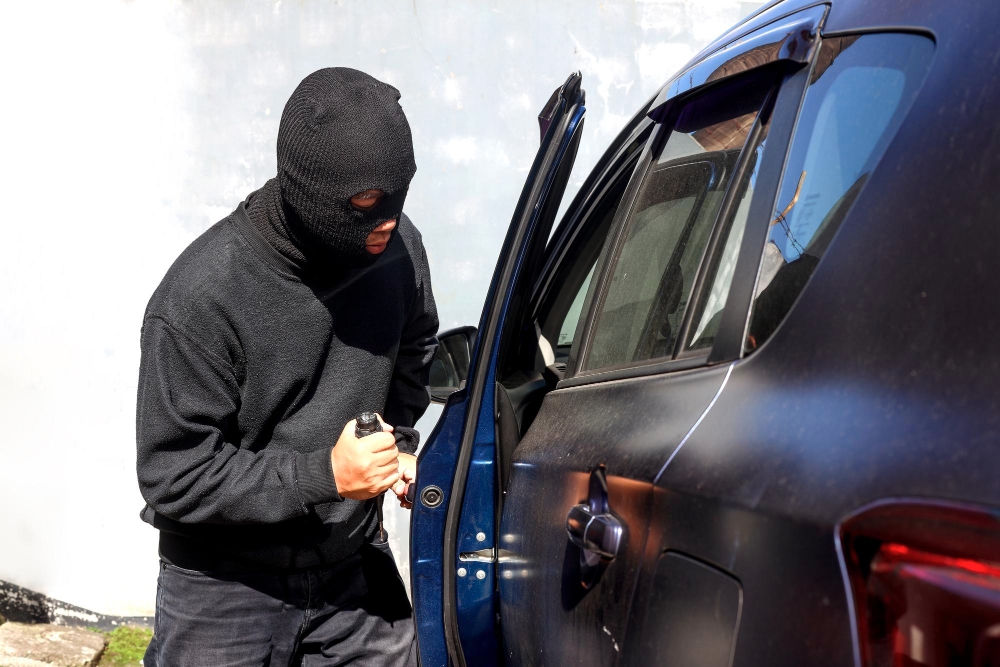 Theft Charges in Calgary