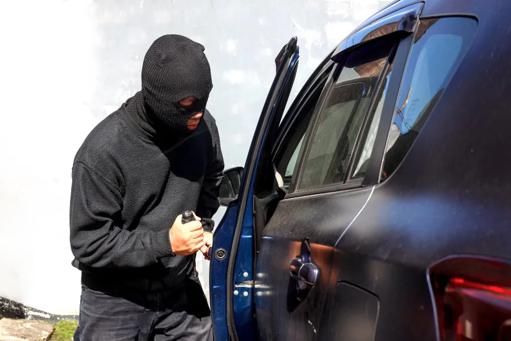 Theft Charges in Calgary