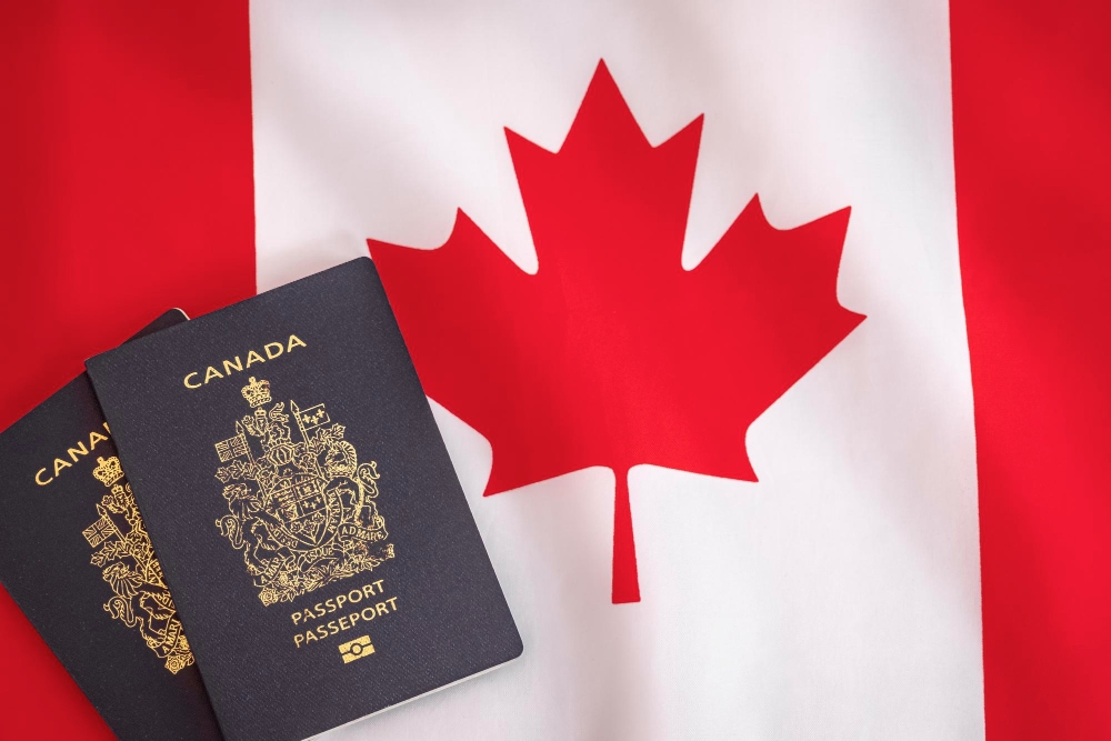 Work Permit vs Employer