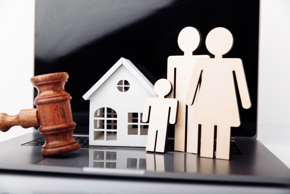 Family Lawyer
